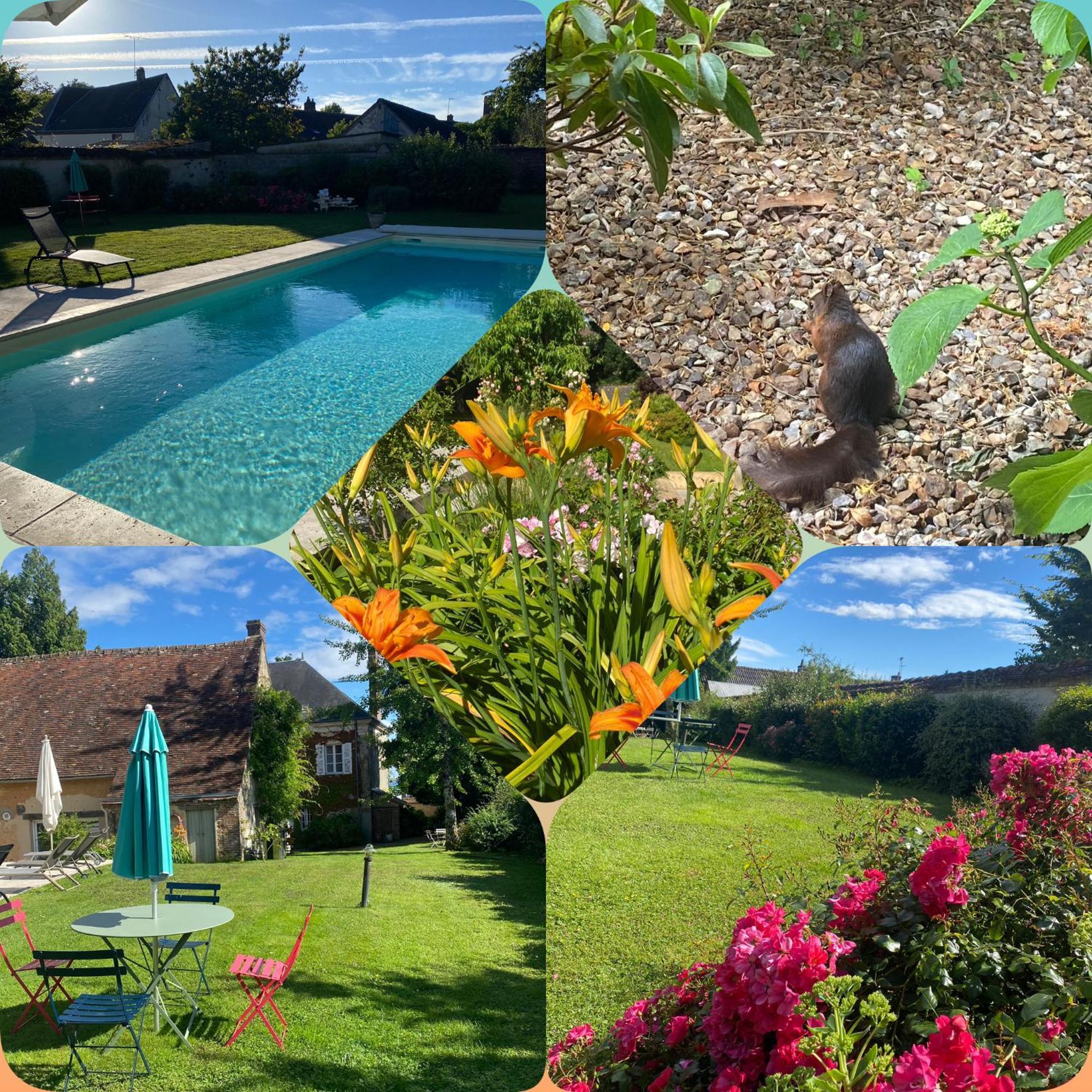 Les Couleurs Du Verger Beaumont-les-Autels Exterior photo