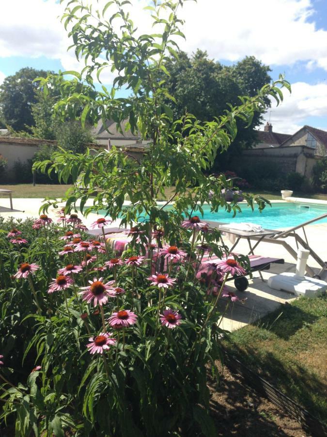 Les Couleurs Du Verger Beaumont-les-Autels Exterior photo